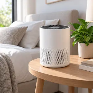 AirPure Mini